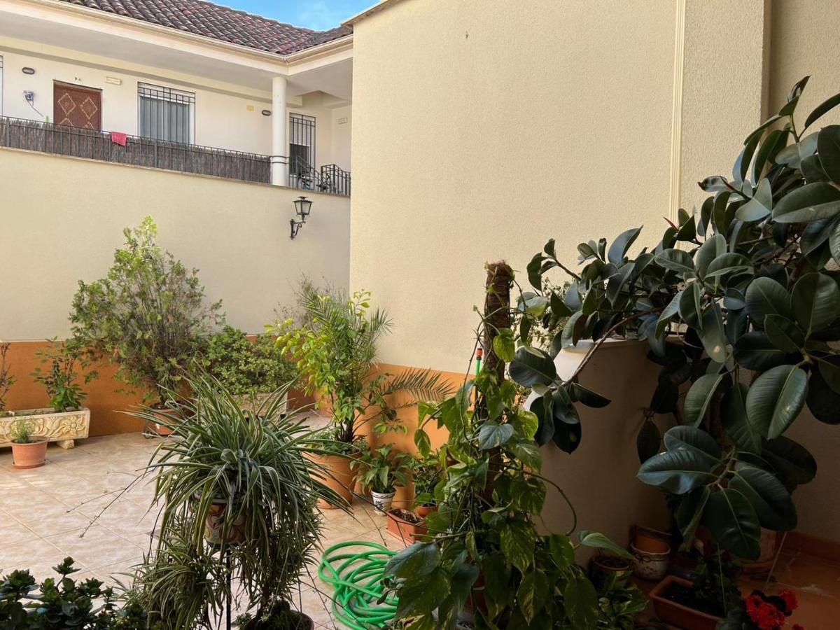 Apartamento Duplex El Tinte Cordoue Extérieur photo